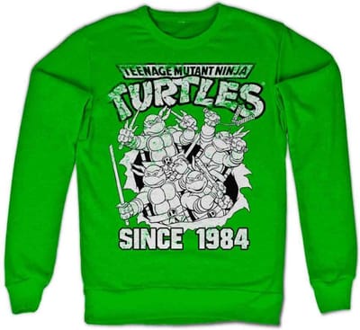 Teenage Mutant Ninja Turtles Sweater/trui -S- Distressed Since 1984 Groen