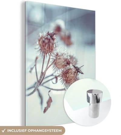 MuchoWow® Glasschilderij 30x40 cm - Schilderij acrylglas - Planten - Winter - Sneeuw - Natuur - Foto op glas - Schilderijen