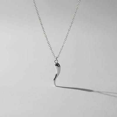 Ketting zilverkleurig - Peper bedel - Stainless steel dames ketting - SK Sieraden - Verstelbaar