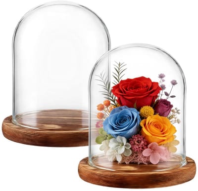 Dailygoods- Glazen Stolp 15 cm Hoog - Houten Bodem - Decoratie voor Poppen/Kaarzen - 12 cm Diameter - Glazen Koepel - Hoogwaardig Borosilicaatglas - Decoratiekoepel
