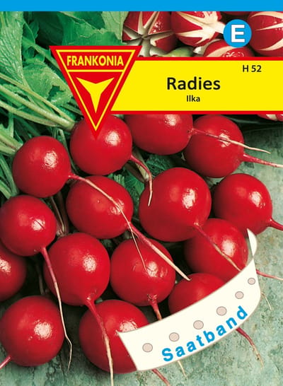 Radijsjes, Ilka zaadlint - Groentezaden Radijszaad Zaden