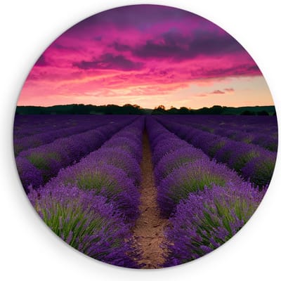Saammp Muurcirkel Hout - Lavendel met paarse lucht - Landschap - Natuur - Ø 90 - Wandcirkel - Wanddecoratie Cirkel - Muurdecoratie Woonkamer - Slaapkamer decoratie - Rond Schilderij