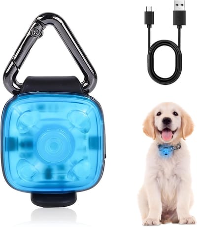 Verstelbare LED-hondhalsband met waterdichte USB-verlichting voor optimale zichtbaarheid tijdens het wandelen en kamperen