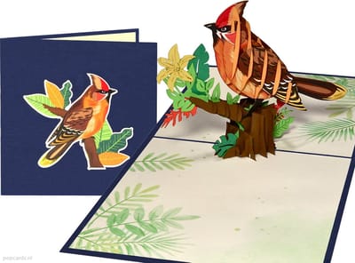 Popcards popupkaarten – Rode kardinaal Zangvogel Vogel Siervogel Natuur Vriendschap Verjaardag Trouw Huweijk Felicitatie pop-up kaart 3D wenskaart