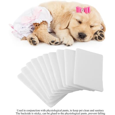 Wegwerp Puppy Maandverband Papier Mat Hond Hygiënisch Broekje Luier Mat (M 10 stuks)