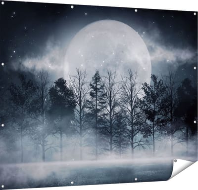 Gards Tuinposter Maan tussen de Bomen in de Nacht - 150x120 cm - Tuindoek - Tuindecoratie - Wanddecoratie buiten - Tuinschilderij
