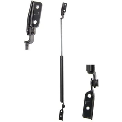 Gasveer kofferbak/laadruimte LESJÖFORS 8162027