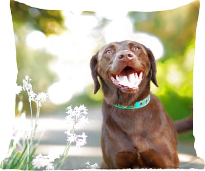 Sierkussens - Kussentjes Woonkamer - 60x60 cm - Een Labrador Retriever met mooie bloemen