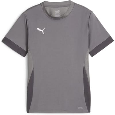 Puma TeamGoal wedstrijdshirt voor kinderen jr 705748
