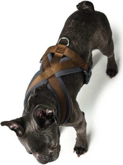 Hondentuigje Hunter London Comfort 48-56 cm Bruin Maat S/M