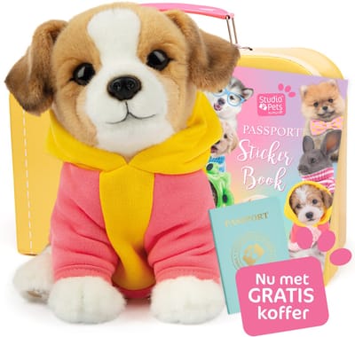 Studio Pets® Set van Knuffel Jack Russel Hond Jacky (23 cm) met GRATIS Gele Kartonnen Koffer, Paspoort en Stickerboek – Complete Cadeauset voor kinderen
