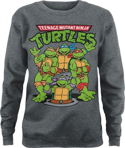 Teenage Mutant Ninja Turtles Group Girly-sweatshirt voor dames, Heather-Medium-Grey