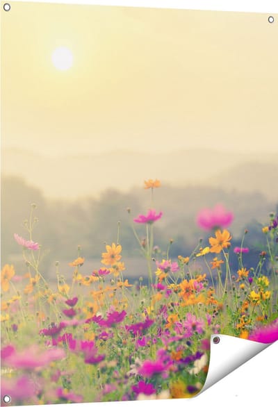 Gards Tuinposter Bloemenveld met Kosmos - Zonsondergang - 80x100 cm - Tuindoek - Tuindecoratie - Wanddecoratie buiten - Tuinschilderij