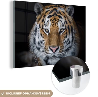 MuchoWow® Glasschilderij 60x40 cm - Schilderij acrylglas - Tijger - Sneeuw - Zwart - Foto op glas - Schilderijen