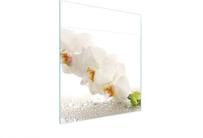 TMK ArtDeko Serie - Snijplank - 45x52 cm - Orchidee - Veelkleurig