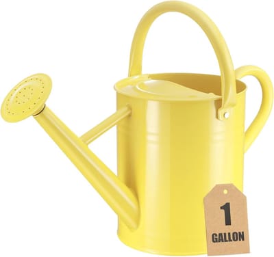 Metalen Gieter voor Buiten- en Kamerplanten - 3,8 Liter Capaciteit Waterkan
