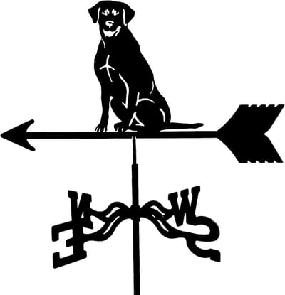 Weervaan Metaal - Windrichting Meter - Tuin Decoratie - Roestvrij Staal - 35x50 CM - Zwart