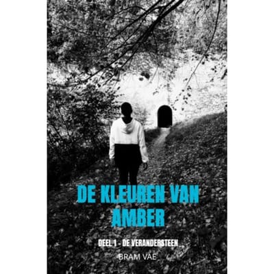De Kleuren Van Amber - Bram Vae