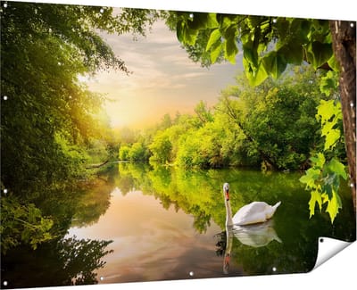 Gards Tuinposter Zwaan op het Water in het Bos - 180x120 cm - Tuindoek - Tuindecoratie - Wanddecoratie buiten - Tuinschilderij
