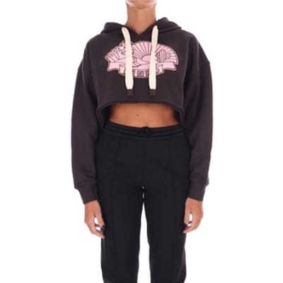Capuchon sweaters Pinko 104112A25T