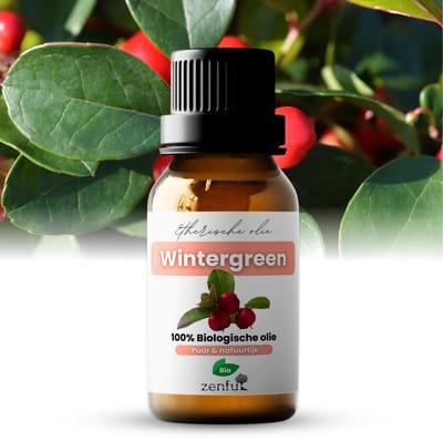 Wintergroen olie - 100% Puur - Biologisch - Natuurlijk - Wintergreen Etherische Olie - Aromatherapie - 10 ml