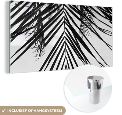 MuchoWow® Glasschilderij 120x60 cm - Schilderij acrylglas - Palm - Zomer - Bladeren - Tropical - Foto op glas - Schilderijen