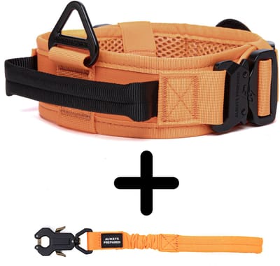 Always Prepared® Combi-Deal – Hondenhalsband + Korthouder – Verstelbaar & Extra Sterk – One Size – Oranje – Voor Middelgrote en Grote Honden