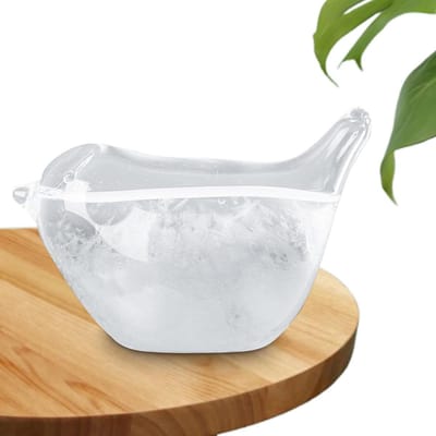 Weerstation Glas - Stormglas Vogel - Weer Voorspellen - Vormt Kristallen - 8 x 5 cm - Transparant