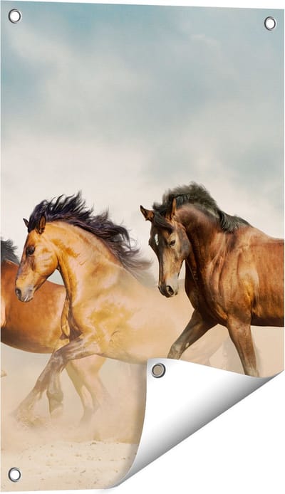 Gards Tuinposter Drie Bruine Paarden - 40x60 cm - Tuindoek - Tuindecoratie - Wanddecoratie buiten - Tuinschilderij