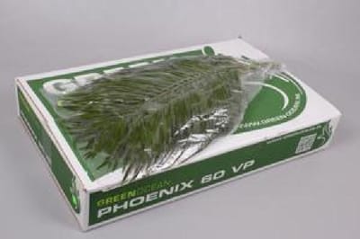 20x Sg phoenix 60cm
