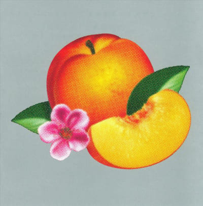 Phoenix - Bankrupt! (CD)