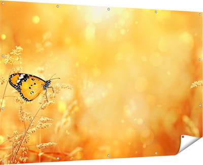 Gards Tuinposter Oranje Vlinder in het Oranje Veld - 180x120 cm - Tuindoek - Tuindecoratie - Wanddecoratie buiten - Tuinschilderij