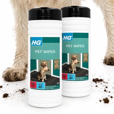 2 x HG - Pet Wipes - Doekjes Voor Huisdieren - 50 Doekjes - Dierenwipes - Huisdierdoekjes - Hondendoekjes - Katendoekjes - Dierenverzorging