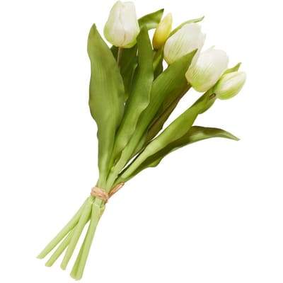 Tulpen bos met 3 bloemen en 2 knoppen - Cream