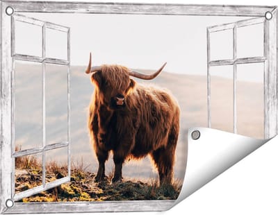 Gards Tuinposter Doorkijk Schotse Hooglander in de Heuvels van Schotland - 60x40 cm - Tuindoek - Tuindecoratie - Wanddecoratie buiten - Tuinschilderij