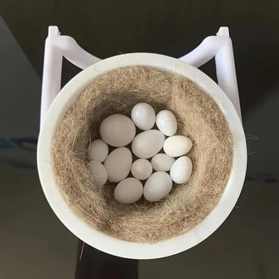 Vogelhuisje Kit - Veilig Ophangbaar Plastic Vogelhuisje met Bevestigingsbeugels & Zachte Matjes voor Kleine Huisdieren