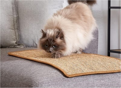 Famanu – Sisal kattenkrabmat – Deurmat 30x40 cm – Robuust vloerkleed 100% sisal – Set van 2 – Bruin