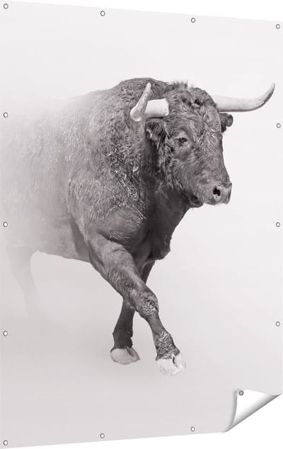 Gards Tuinposter Stier op een Grijze Achtergrond - Zwart Wit - 120x160 cm - Tuindoek - Tuindecoratie - Wanddecoratie buiten - Tuinschilderij