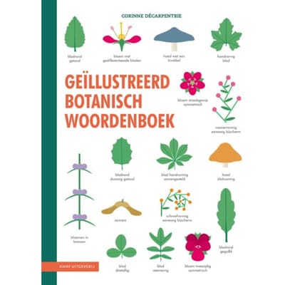 Geïllustreerd Botanisch Woordenboek - Corinne Décarpentrie
