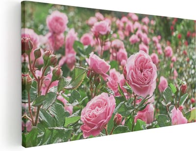 Artaza Canvas Schilderij Rozen - 40x20 cm - Klein - Wanddecoratie Bloemen - Muurdecoratie Roze Rozen - Schilderijen Op Canvas Tuin