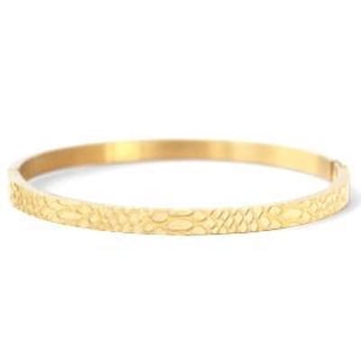 Bangle Snake Goud (RVS)
