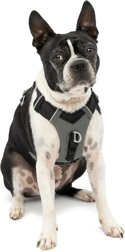 Hondenharnas voor veilige en comfortabele reis, gevoerd borstdeel, stevige teruggreep, geschikt voor honden 2-5 kg, maat XS, zwart/grijs