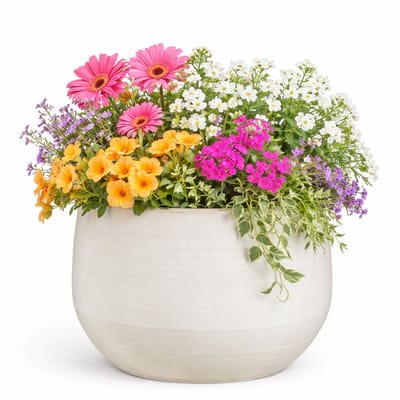 Mica Decorations bloempot / plantenpot Venice - ivoor wit - terracotta - D27 x H24 cm - effen