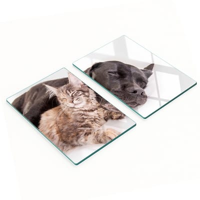 Multifunctionele decoratieve snijplanken van gehard staal voor de keuken, met afbeeldingen van een hond en een kat, 2x40x52 cm