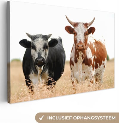 Canvas - Koeien - Landschap - Natuur - Wanddecoratie - Schilderij op canvas - 60x40 cm - Woonkamer