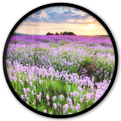 Poster in lijst Rond - Fotolijst 40x40 cm - Posters - Bloemen - Lavendel - Paars - Lucht - Zonsondergang - Weide - Natuur - Ronde posterlijst zwart - Decoratie - Wanddecoratie woonkamer - Muurdecoratie slaapkamer