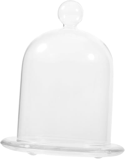 Glazen Taartdeksel - Voedselhoes Bewaarbakje - Voedsel Beschermen - Met Handvat - 11.5x11.5x14.5cm - Transparant
