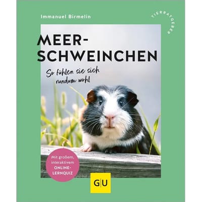 Boek Nobby Pet Kratzbrettmeerschweinchen, So Fühlen Sie Sich Rundum Wohl