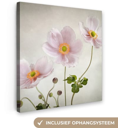 Canvas schilderij 20x20 cm - Wanddecoratie Bloemen - Stilleven - Olieverf - Klaproos - Roze - Muurdecoratie woonkamer - Slaapkamer decoratie - Kamer accessoires - Schilderijen op canvas