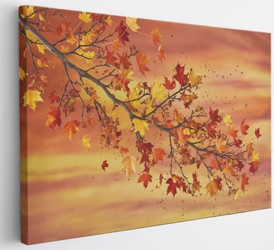 Saammp Canvas Schilderij - herfst tak - Abstract - 30x20 - Foto op canvas - Wanddecoratie - Muurdecoratie Woonkamer - Slaapkamer decoratie - Canvas Print